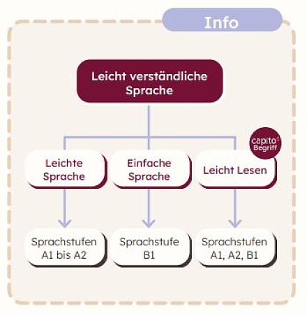 In dieser Grafik erkennt man, dass die Sprachstufen A1 und A2 der Leichten Sprache zugeordnet werden. Die Sprachstufe B1 wird der Einfachen Sprache zugeordnet. Alle drei Sprachstufen gehören zum Leicht Lesen Portfolio von capito.